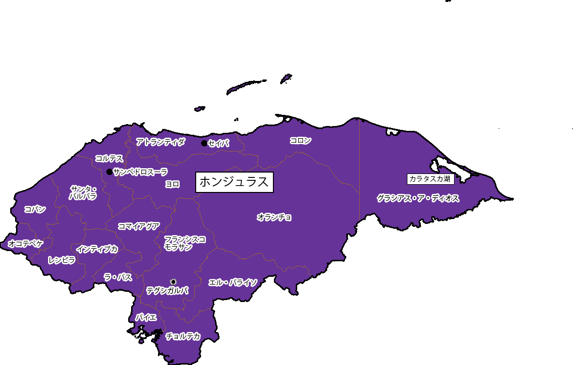 海外安全ホームページ 危険 スポット 広域情報