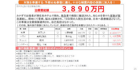 支払い額の例